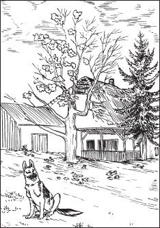 Ирина Зайцева - Приобретаем и продаем дачу