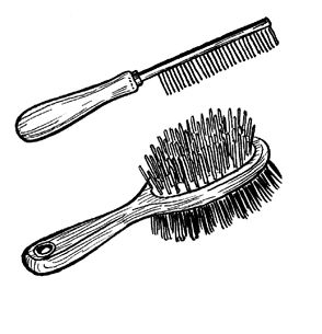 Людмила Антонова - Уход за домашними кошками