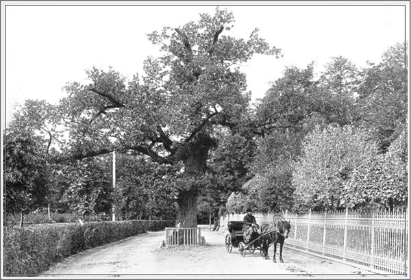 Наум Синдаловский - Петербургский фольклор с финско-шведским акцентом, или...