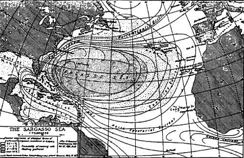 Эндрю Коллинз - Врата Атлантиды