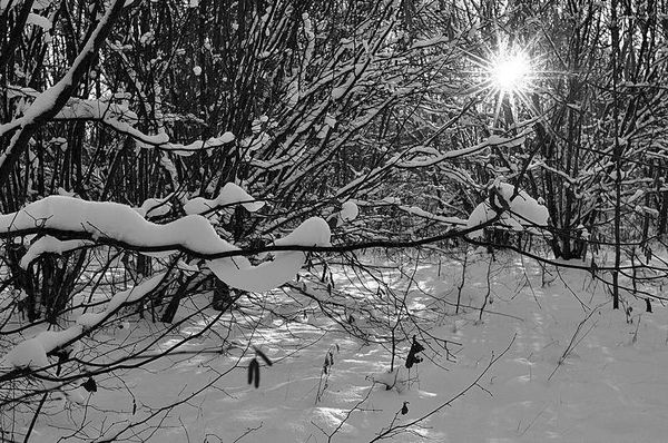 Олег Ермаков - Вокруг света