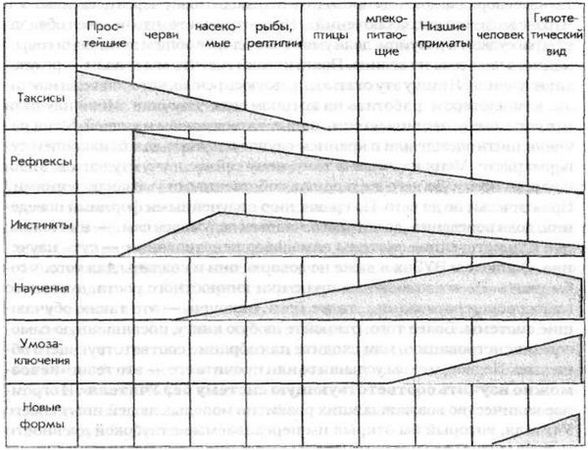 Татьяна Березина - Резервные возможности человека