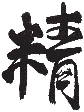 Алексей Маслов - Тайный код китайского кунфу