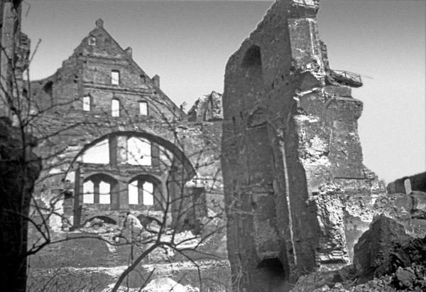 Андрей Пржездомский - Тайный код Кёнигсберга