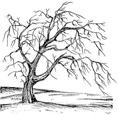 Алексей Кононенко - Энциклопедия славянской культуры, письменности и мифологии