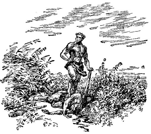 Жозеф Рони-старший - Борьба за огонь. Доисторический роман