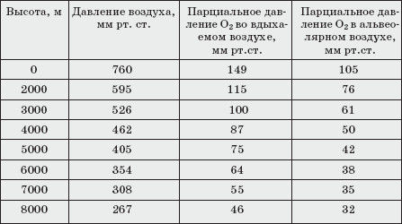Ольга Мизирева, Любовь Губарева и др. - Экология человека: практикум для вузов