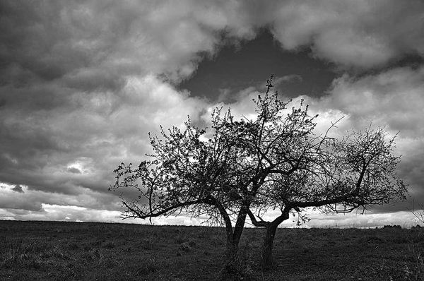 Олег Ермаков - Вокруг света