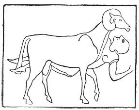 Чарльз Квеннелл, Марджори Квеннелл - Гомеровская Греция. Быт, религия, культура