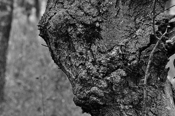 Олег Ермаков - Вокруг света