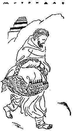 Любовь Воронкова - След огненной жизни. Мессенские войны