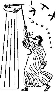 Любовь Воронкова - След огненной жизни. Мессенские войны