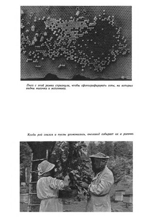 Иосиф Халифман - Пароль скрещенных антенн