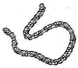 Анатолий Тарас, А. Владзимирский - Оружие уличного бойца