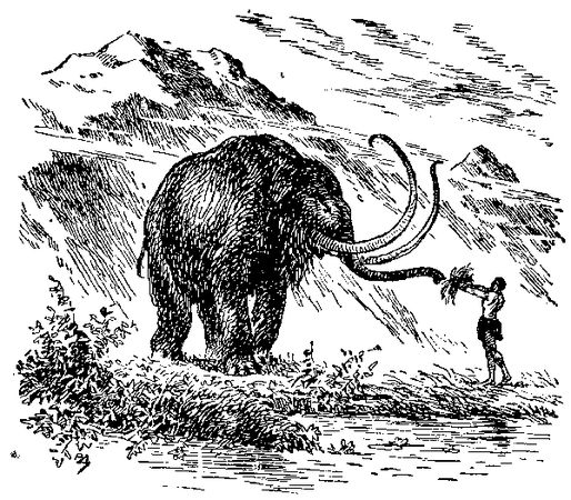 Жозеф Рони-старший - Борьба за огонь. Доисторический роман