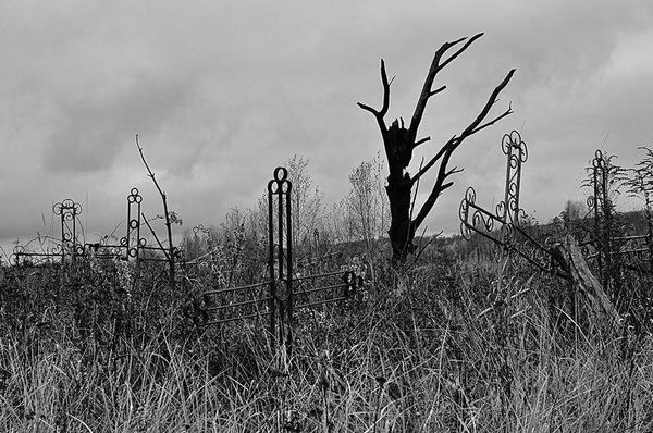 Олег Ермаков - Вокруг света