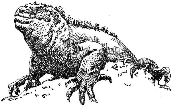 Рольф Бломберг - Змеи-гиганты и страшные ящеры