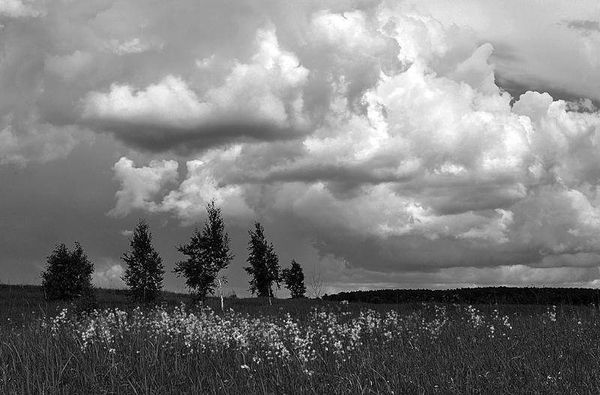 Олег Ермаков - Вокруг света