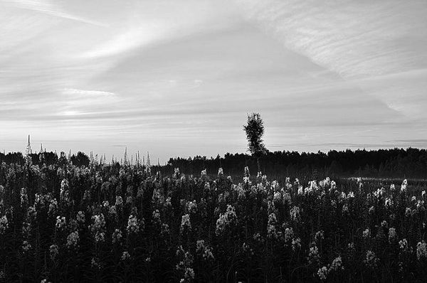 Олег Ермаков - Вокруг света