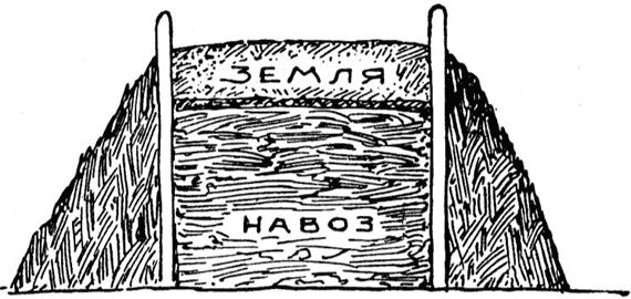 Павел Штейнберг - Как вырастить отличный урожай овощей и бахчевых. Рецепты,...