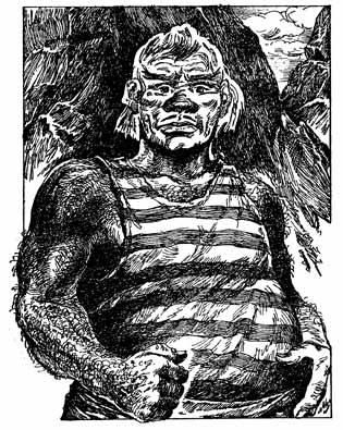 Дмитрий Браславский - Тайна капитана Шелтона