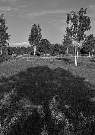 Олег Ермаков - Вокруг света