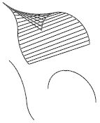 Татьяна Соколова - AutoCAD 2009. Учебный курс