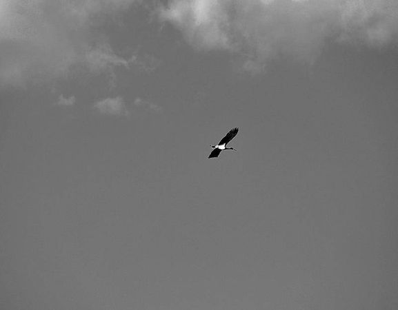 Олег Ермаков - Вокруг света