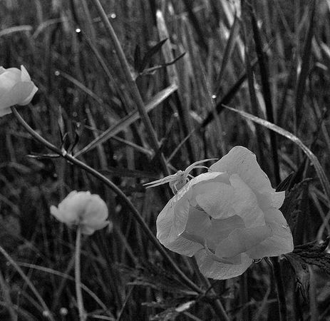 Олег Ермаков - Вокруг света