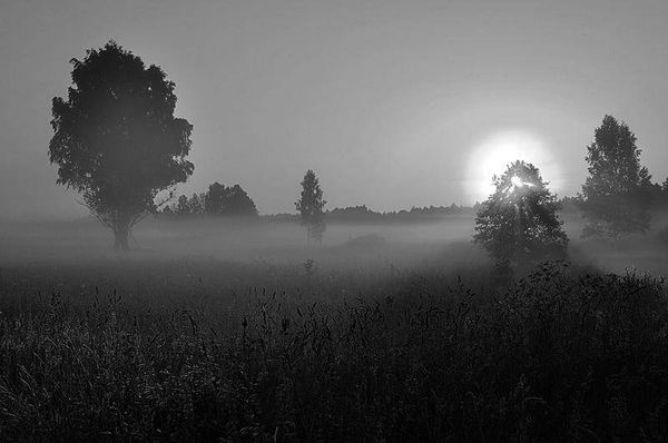 Олег Ермаков - Вокруг света