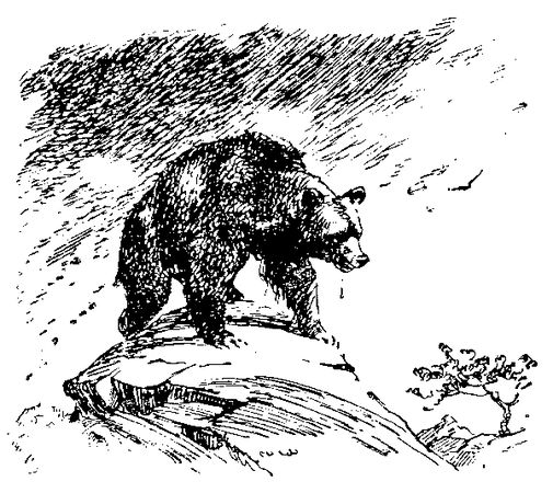 Жозеф Рони-старший - Борьба за огонь. Доисторический роман