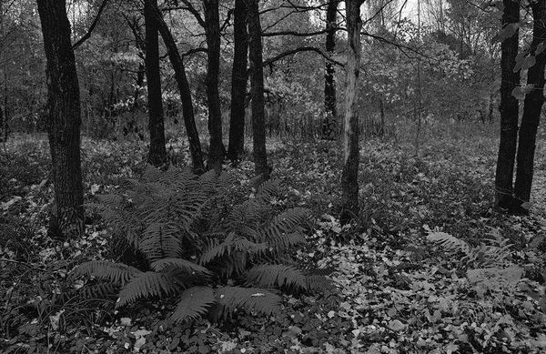 Олег Ермаков - Вокруг света