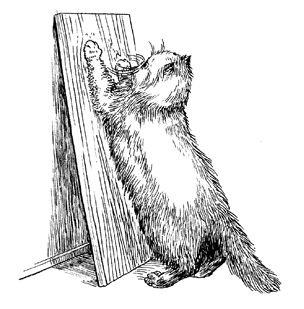 Людмила Антонова - Уход за домашними кошками