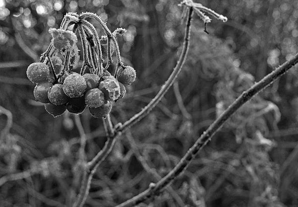 Олег Ермаков - Вокруг света