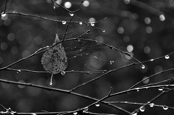 Олег Ермаков - Вокруг света