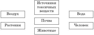 Экология человека: практикум для вузов