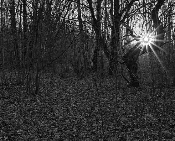 Олег Ермаков - Вокруг света