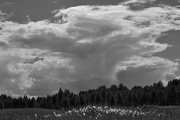 Олег Ермаков - Вокруг света