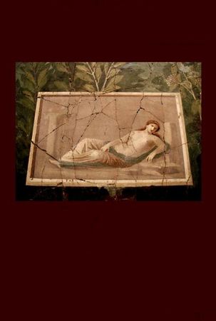 Роман Шмараков - ПОД БУКОВЫМ КРОВОМ