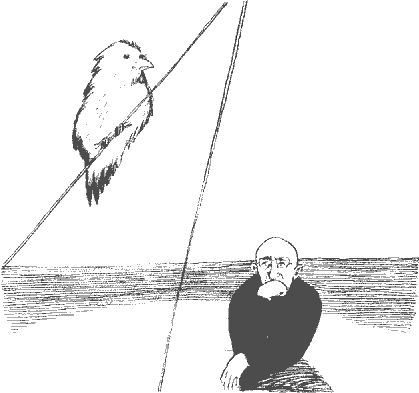 Аркадий Тигай - Под парусом вокруг Старого Света: Записки мечтательной вороны