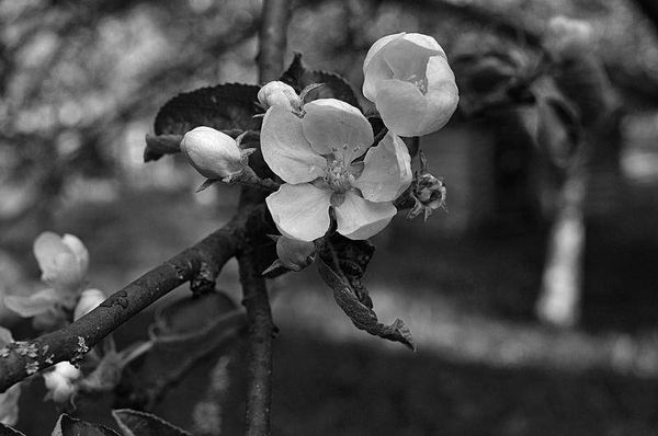 Олег Ермаков - Вокруг света