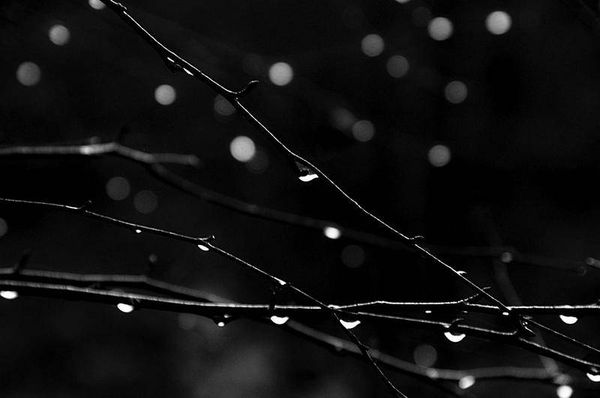 Олег Ермаков - Вокруг света