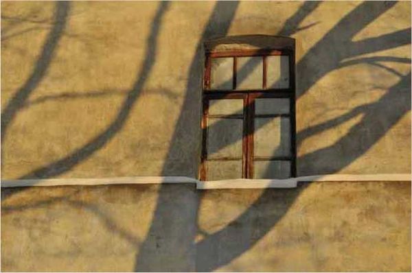 Олег Ермаков - Покинутые или Безумцы