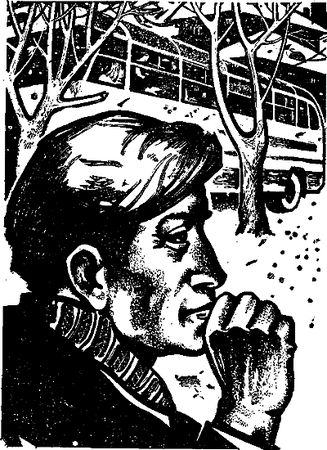 Михаил Стрельцов - Журавлиное небо