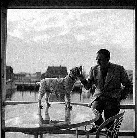 Френсис Фицджеральд - Подшофе (сборник)