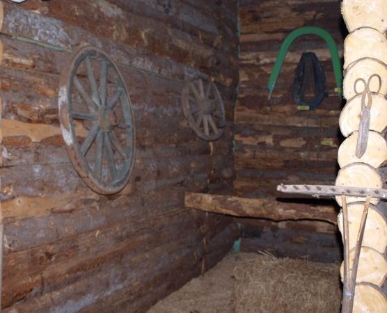 Андрей Кашкаров - Казаки: традиции, обычаи, культура (краткое руководство...