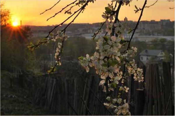 Олег Ермаков - Покинутые или Безумцы