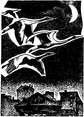 Михаил Стрельцов - Журавлиное небо