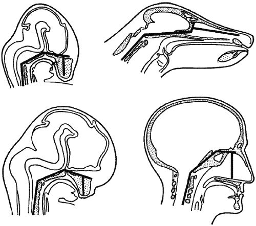 Николай Клягин - Современная научная картина мира