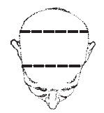 Наоми Тикл - Лицо - зеркало души. Физиогномика для всех